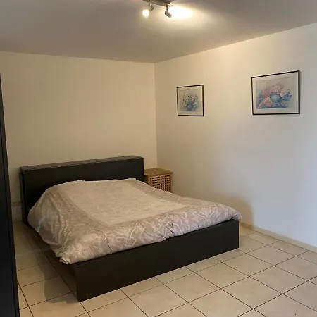 公寓 Studio Beautiful Views Near Beach And Amsterdam 希勒霍姆