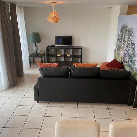 Studio Beautiful Views Near Beach And Amsterdam 公寓 希勒霍姆