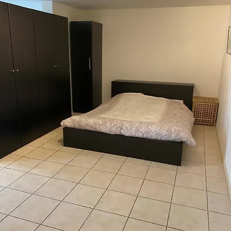 Studio Beautiful Views Near Beach And Amsterdam 公寓 希勒霍姆